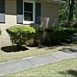 Flowerbed & Shrub Maintenance